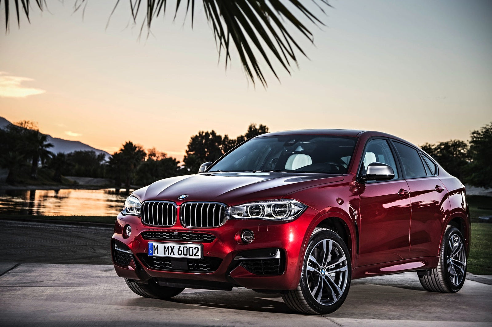 BMW F16 X6
